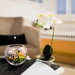 Hostel Herz Μπάνια Λούκα